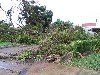 IMG_0411.jpg